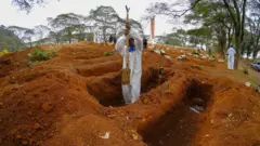 brazil covid deaths