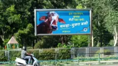 PETA India