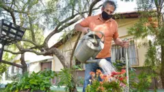 man watering plants