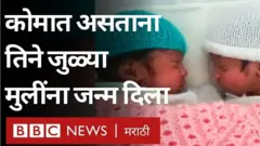 कोव्हिड, प्रसूती, लस