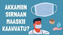 iin sirnaan maaskii kaawwatu?
