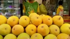 आम