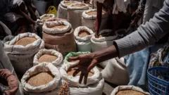 Miidhaan gabaa keessaa