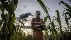 Waggoota 70 keessatti Baha Afrikaatti weerara Awaannisaa hunda caalaa hamaatu mudate