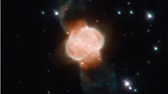 кластер (иллюстрация)