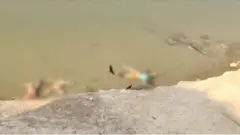 நீர்