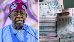 Tinubu and PVC