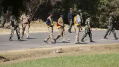 Poolisoota Maalaawii