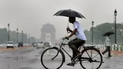 సైకిల్