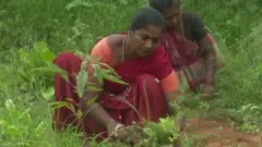 పొలంలో పనిచేస్తున్న మహిళలు