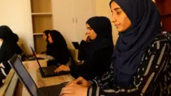 pekerjaan