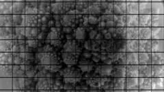 Una cabeza de brócoli fotografiada por la cámara de 3.200 megapíxeles Observatorio Vera Rubin en Chile.