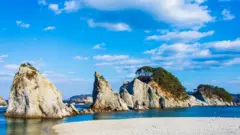 Jalur PesiMichinokusir