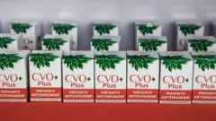 The authorities in Madagascar touted Covid Organics as a herbal cure for Covid-19