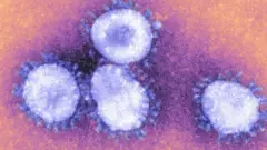 করোনাভা‌ইরাসের বি.এ.২ ভ্যারিয়েন্ট এখন ৫৭টি দেশে শনাক্ত