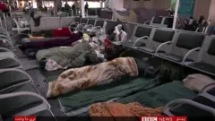 افغانان