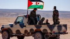 قوات تابعة لما يسمى "الجمهورية العربية الصحراوية الديمقراطية". صورة أرشيفية