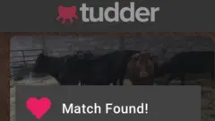 Pronalazak partnera na Taderu