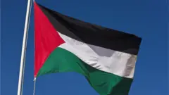 Palestinian Flag