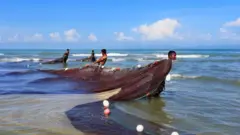 बांग्लादेश