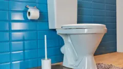 المياه