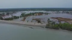 सुंदरबन