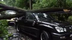 негода