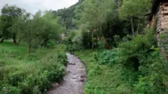 reka