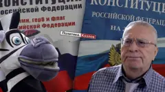 Жириновский и человек в костюме зебры на фоне Конституции