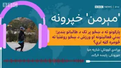 مېرمن پروګرام