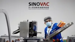 sinovac aşısı üretimi