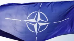 Флаг НАТО