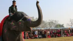 हात्ती