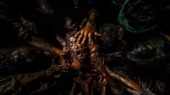 ஜல்லிக்கட்டு