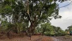 ''ගහ බේරලා පාර හැදුවොත් අමතර වියදම බිලියන 8.5යි. පාර ඉස්සුවොත් වියදම බිලියන 6ක් වගේ.''
