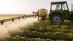 Trabajador fertiliza un campo sembrado con soya.