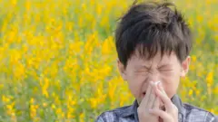 hay fever