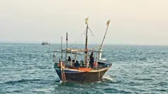બોટની તસવીર
