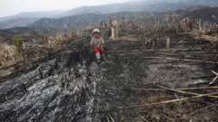 နိုင်ငံရဲ့ သစ်တောပြုန်းတီးမှု ကိုလျော့နည်းသက်သာသလို၊ သစ်ထုတ်လုပ်မှုလည်း လျော့နည်းသွားမှာဖြစ်သလို၊ သဘာဝပတ်ဝန်းကျင် ကိုထိန်းသိမ်းနိုင်ပြီး သဘာဝဘေးအန္တရယ်များလည်း လျော့နည်းသွားမယ်