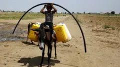 یمن