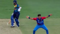 کرېکټ