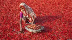 ਬੰਗਲਾਦੇਸ਼, ਅਰਥਚਾਰਾ