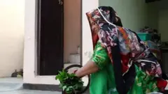 हरियाणा शराब