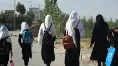 نجونې