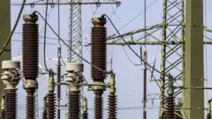 ਬਿਜਲੀ ਵਿਭਾਗ