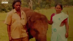 द एलिफ़ेंट व्हिसपरर्स