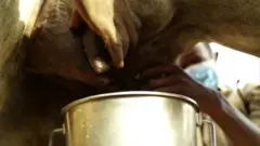 व्हाइट गोल्ड