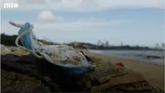 මුහුණු ආවරණ හරහා මසකට ප්ලාස්ටික් ටොන් කීයක් ශ්‍රී ලංකාවේ පරිසරයට එකතු වෙනවා ද?