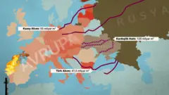 Doğal gaz boru hatları