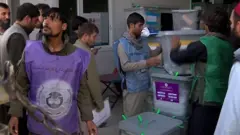election